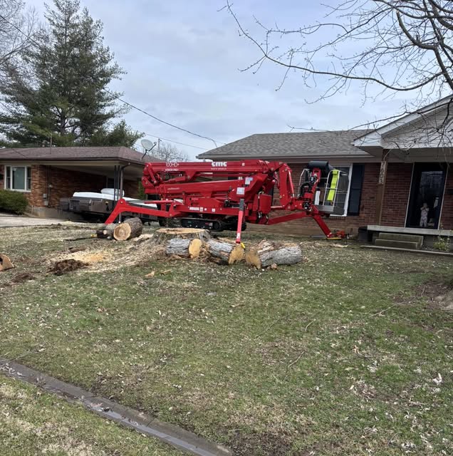 The lift working a front-yard removal with cut logs staged on the lawn