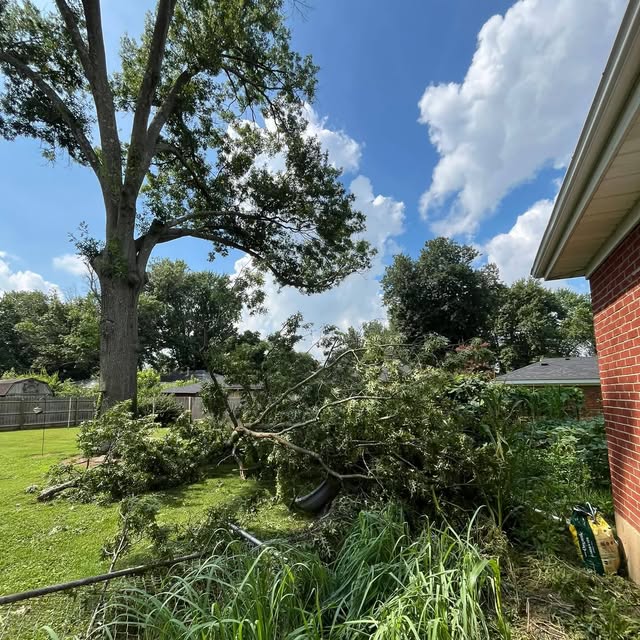 A storm-broken limb resting against a brick house before removal